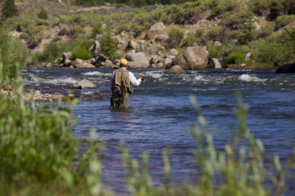 colorado river fishing trip