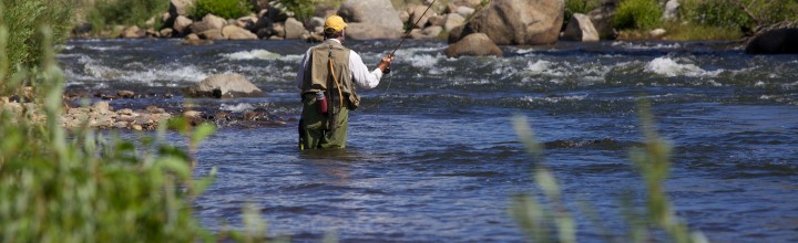 Reasons You Should Learn Fly Fishing this Fall