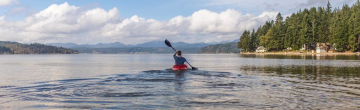 Everything You Need to Know About an Oar and a Paddle