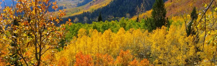 Five Best Fall Hikes near Steamboat Springs