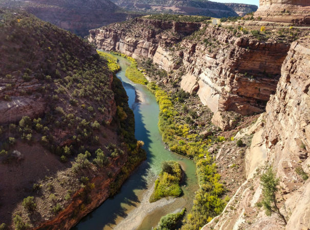 The Dolores River in Colorado