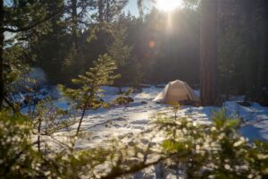 tent in snowy woods