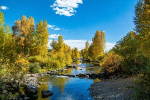 The Yampa River near Steamboat