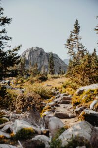 hiking trail in colorado